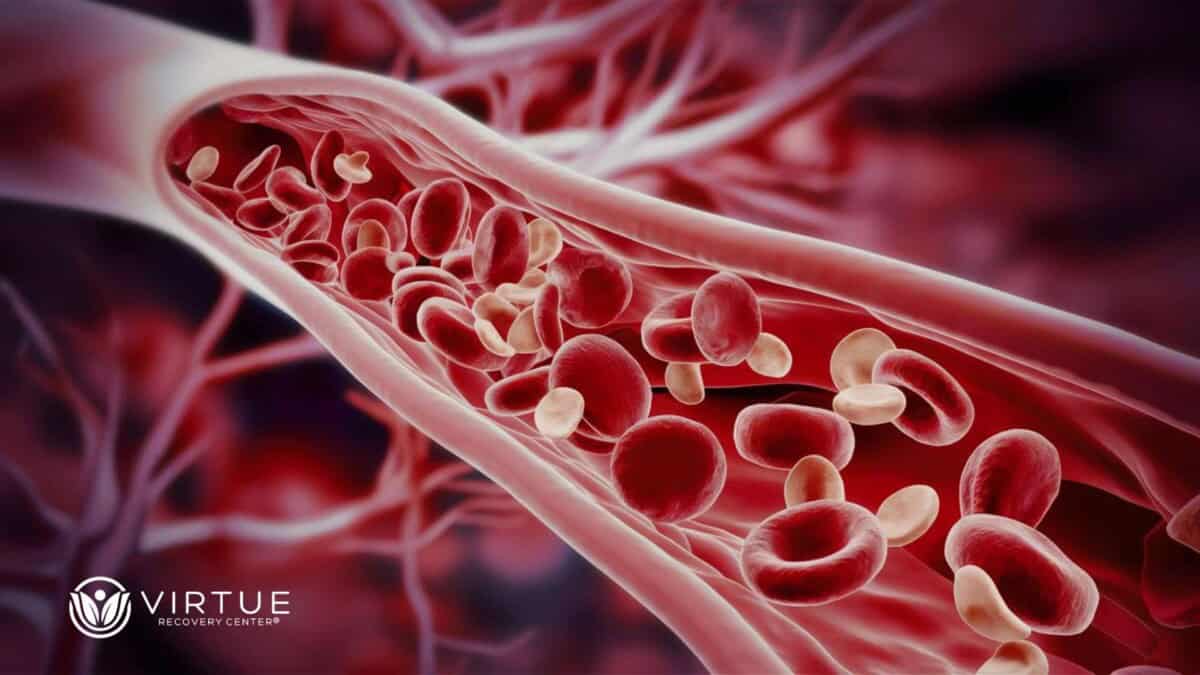 Blood Thinners and Alcohol The Risks of Combining Drugs